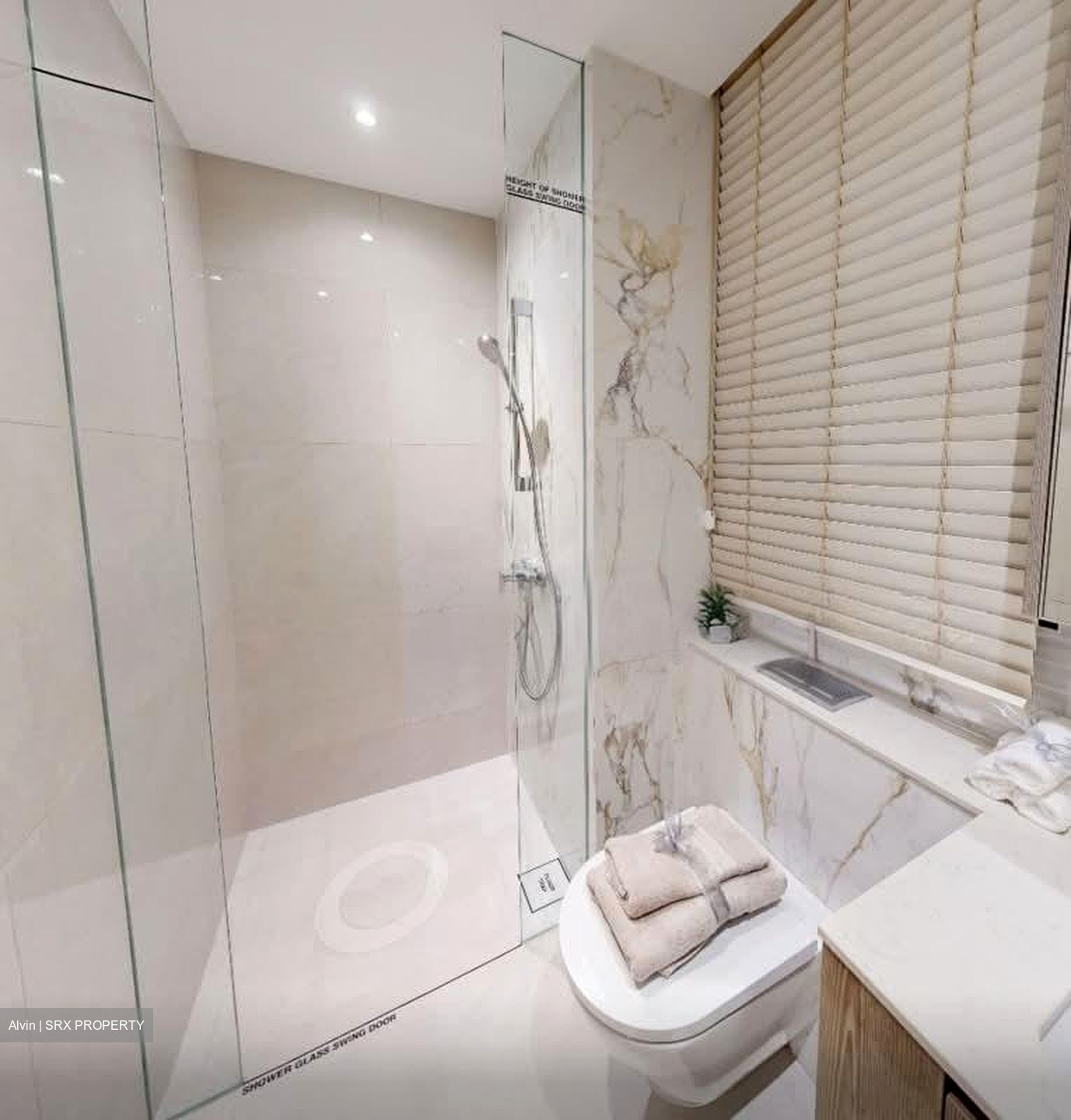 Lorong 8 Toa Payoh (D12), Condominium #553354371